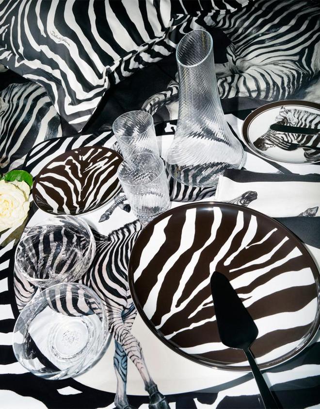 牌 DNA——演繹獨特 DG 魅力AG真人杜嘉班納斑馬紋如何詮釋品(圖5)